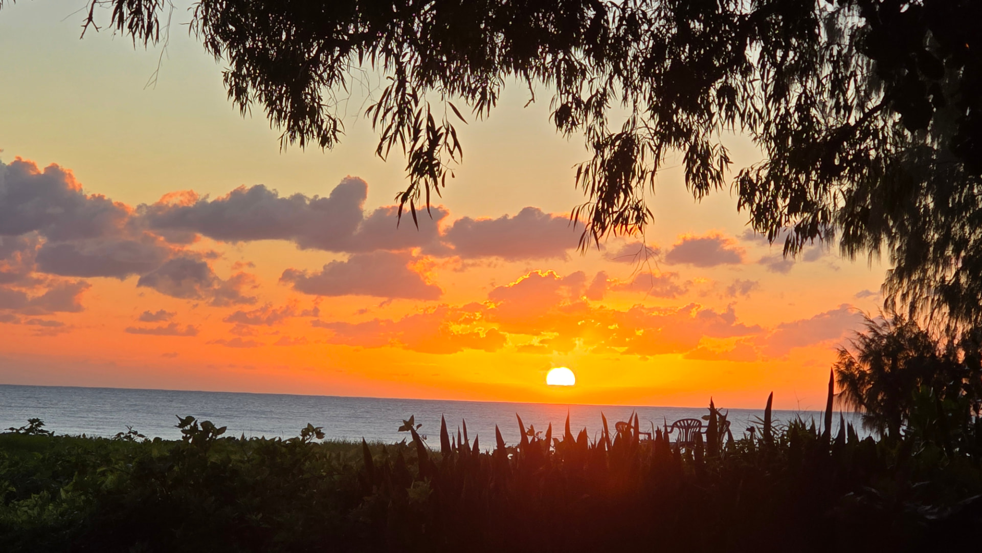 Sunrise over the Coral Sea from the beachfront