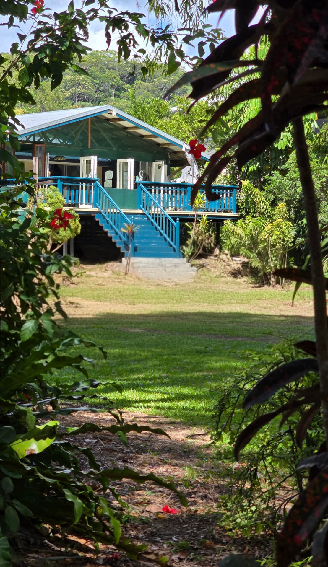 Garden view toward the classic Queenslander
