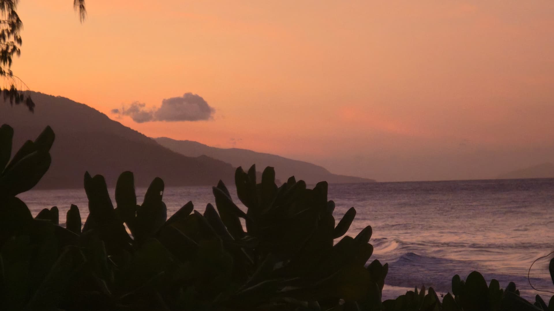 Apricot sunset over headlands and the Coral Sea